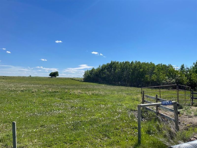 FEATURED LISTING: 2039 Twp Rd 304 Rural Mountain View County