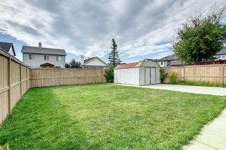 Photo 46: 8 Martha's Meadow Place NE in Calgary: Martindale Detached for sale : MLS®# A1257985