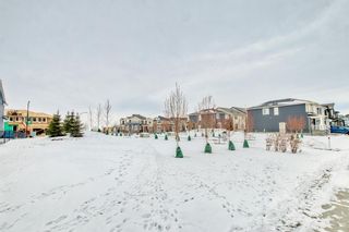 Photo 50: 258 Carringham Road NW in Calgary: Carrington Detached for sale : MLS®# A2044632