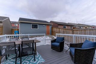 Photo 30: 56 Evansborough Common NW in Calgary: Evanston Detached for sale : MLS®# A1182035