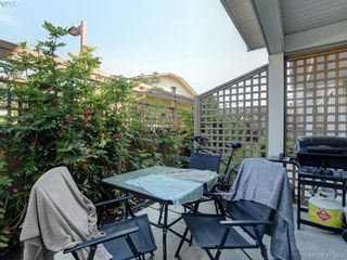 Photo 18: 11 3356 Whittier Ave in VICTORIA: SW Rudd Park Row/Townhouse for sale (Saanich West)  : MLS®# 820607