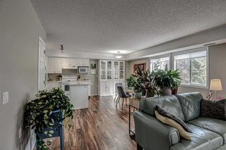 Photo 4: 102 4506 4 Street NW in Calgary: Highland Park Apartment for sale : MLS®# A2083449