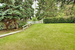 Photo 45: 635 Tavender Road NW in Calgary: Thorncliffe Detached for sale : MLS®# A1117186