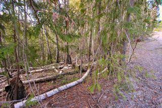 Photo 9: Lot 41 Klondike Trail: Anglemont Vacant Land for sale (North Shuswap)  : MLS®# 10244159