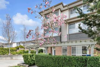 Photo 25: 29 15353 100 Avenue in Surrey: Guildford Townhouse for sale (North Surrey)  : MLS®# R2768844