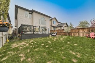 Photo 31: 441 Kincora Drive NW in Calgary: Kincora Detached for sale : MLS®# A2050152