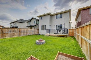 Photo 29: 2159 Hillcrest Green SW: Airdrie Detached for sale : MLS®# A2137353