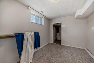 Photo 30: 2136 18 Street SW in Calgary: Bankview Detached for sale : MLS®# A2118833