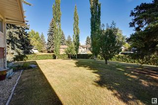 Photo 5: 14313 90A Avenue in Edmonton: Zone 10 House for sale : MLS®# E4372427