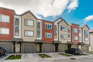 Photo 21: 48 Copperstone Common SE in Calgary: Copperfield Row/Townhouse for sale : MLS®# A1219920