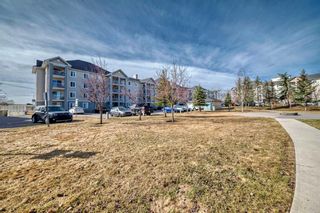 Photo 26: 3306 1620 70 Street SE in Calgary: Applewood Park Apartment for sale : MLS®# A2123526