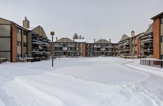 Photo 24: 4305 13045 6 Street SW in Calgary: Canyon Meadows Apartment for sale : MLS®# A2027416