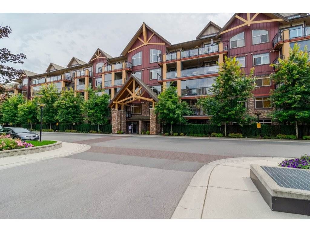 Main Photo: 232 8288 207A Street in Langley: Willoughby Heights Condo for sale in "Yorkson Creek" : MLS®# R2092253