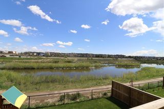 Photo 42: 121 WINDFORD Park SW: Airdrie Detached for sale : MLS®# C4288703