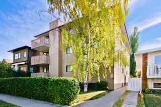 Photo 1: 302 123 22 Avenue NE in Calgary: Tuxedo Park Apartment for sale : MLS®# A1235714