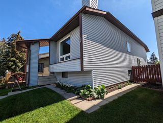 Photo 21: 124 Bedford Place NE in Calgary: Beddington Heights Detached for sale : MLS®# A2051653