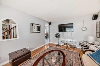 Photo 21: 2119 24 Avenue NE in Calgary: Vista Heights Detached for sale : MLS®# A2142235