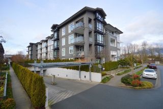 Photo 14: 103 2393 RANGER Lane in Port Coquitlam: Riverwood Condo for sale in "FREMONT EMERALD" : MLS®# R2747266