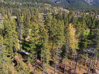 Photo 19: 404 Mountain Tranquility Place: Canmore Residential Land for sale : MLS®# A2084859