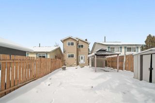 Photo 26: 7 Whitmire Road NE in Calgary: Whitehorn Detached for sale : MLS®# A2117955
