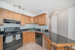 Photo 6: 407 1631 28 Avenue SW in Calgary: South Calgary Apartment for sale : MLS®# A2117389