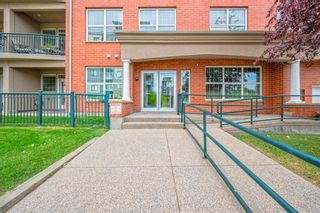 Photo 25: 110 495 78 Avenue in Calgary: Kingsland Apartment for sale : MLS®# A1252209