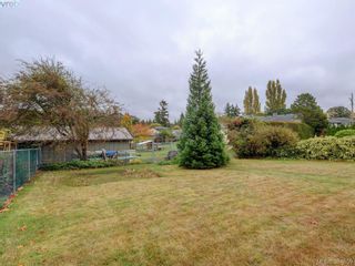 Photo 20: 3761 Saanich Rd in VICTORIA: SE Swan Lake House for sale (Saanich East)  : MLS®# 773193