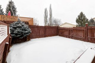 Photo 29: 36 Bearberry Crescent NW in Calgary: Beddington Heights Detached for sale : MLS®# A1188192