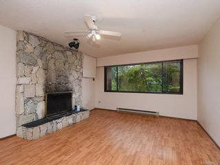 Photo 15: 4174 Glanford Ave in Saanich: SW Glanford House for sale (Saanich West)  : MLS®# 843773