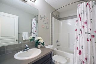 Photo 35: 9 Copperpond Avenue SE in Calgary: Copperfield Detached for sale : MLS®# A1232271