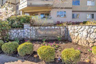 Photo 3: 310 20120 56 Avenue in Langley: Langley City Condo for sale in "Blackberry Lane" : MLS®# R2564037