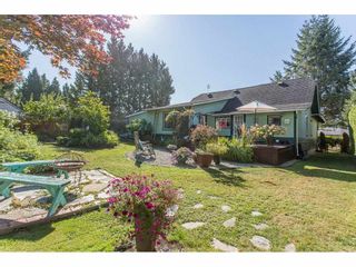 Photo 18: 23967 118TH Avenue in Maple Ridge: Cottonwood MR House for sale : MLS®# R2199339