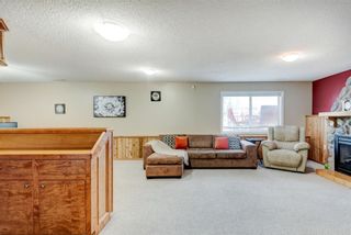 Photo 23: 22 Big Springs Rise SE: Airdrie Detached for sale : MLS®# A1221556