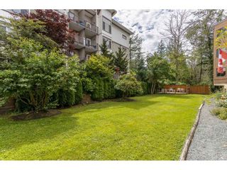 Photo 25: 35 11900 228TH Street in Maple Ridge: East Central Condo for sale in "Moonlite Grove" : MLS®# R2523375