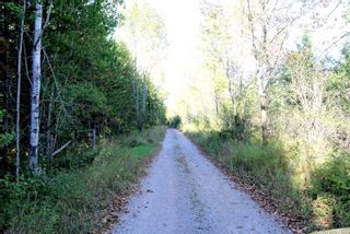 Photo 12: Lt 44 Ramblewood Trail in Kawartha Lakes: Rural Bexley Property for sale : MLS®# X5775129