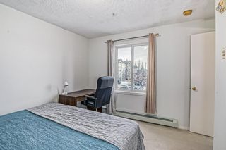 Photo 9: 3307 1620 70 Street SE in Calgary: Applewood Park Apartment for sale : MLS®# A2012657
