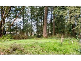 Photo 10: 686 Donovan Ave in VICTORIA: Co Hatley Park Land for sale (Colwood)  : MLS®# 750991