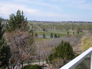 Photo 36: 222 Mount Norquay Park SE in Calgary: McKenzie Lake Detached for sale : MLS®# A2030368