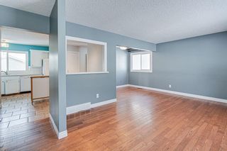 Photo 4: 8327 Addison Drive SE in Calgary: Acadia Detached for sale : MLS®# A1190332