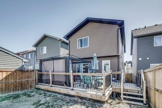 Photo 29: 303 NEW BRIGHTON Landing SE in Calgary: New Brighton House for sale : MLS®# C4182100