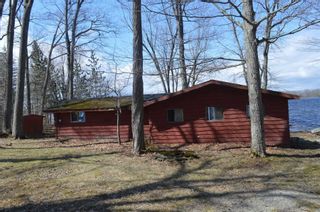 Photo 8: 195 Campbell Beach Road in Kawartha Lakes: Rural Carden House (Bungalow) for sale : MLS®# X4741548