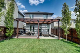 Photo 42: 45 SHERWOOD Heights NW in Calgary: Sherwood Detached for sale : MLS®# A2050847