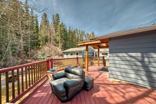 Photo 8: 261 Three Sisters Drive: Canmore Detached for sale : MLS®# A2127380