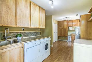 Photo 12: 22657 KENDRICK Loop in Maple Ridge: East Central House for sale : MLS®# R2110828
