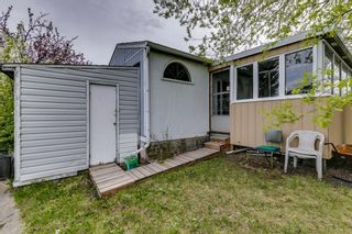 Photo 29: 323 Erin Woods Green SE in Calgary: Erin Woods Detached for sale : MLS®# A1219401