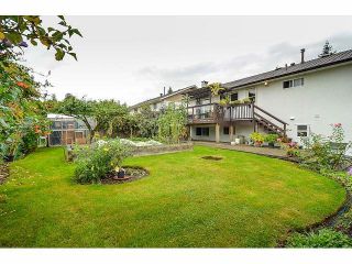 Photo 19: 1980 ROUTLEY Avenue in Port Coquitlam: Lower Mary Hill House for sale in "Lower Mary Hill" : MLS®# V1086751