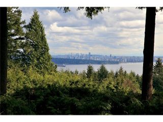 Photo 5: 4401 Woodpark Road in West Vancouver: Cypress Park Estates House for sale : MLS®# V1061125