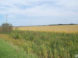 Photo 4: TWP 551 RR234: Rural Sturgeon County Vacant Lot/Land for sale : MLS®# E4382706