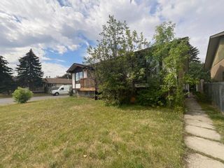Main Photo: 172 Abalone Place NE in Calgary: Abbeydale Semi Detached for sale : MLS®# A2000430
