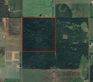 Main Photo: SW-21-62-21-W4: Rural Thorhild County Residential Land for sale : MLS®# A2118449